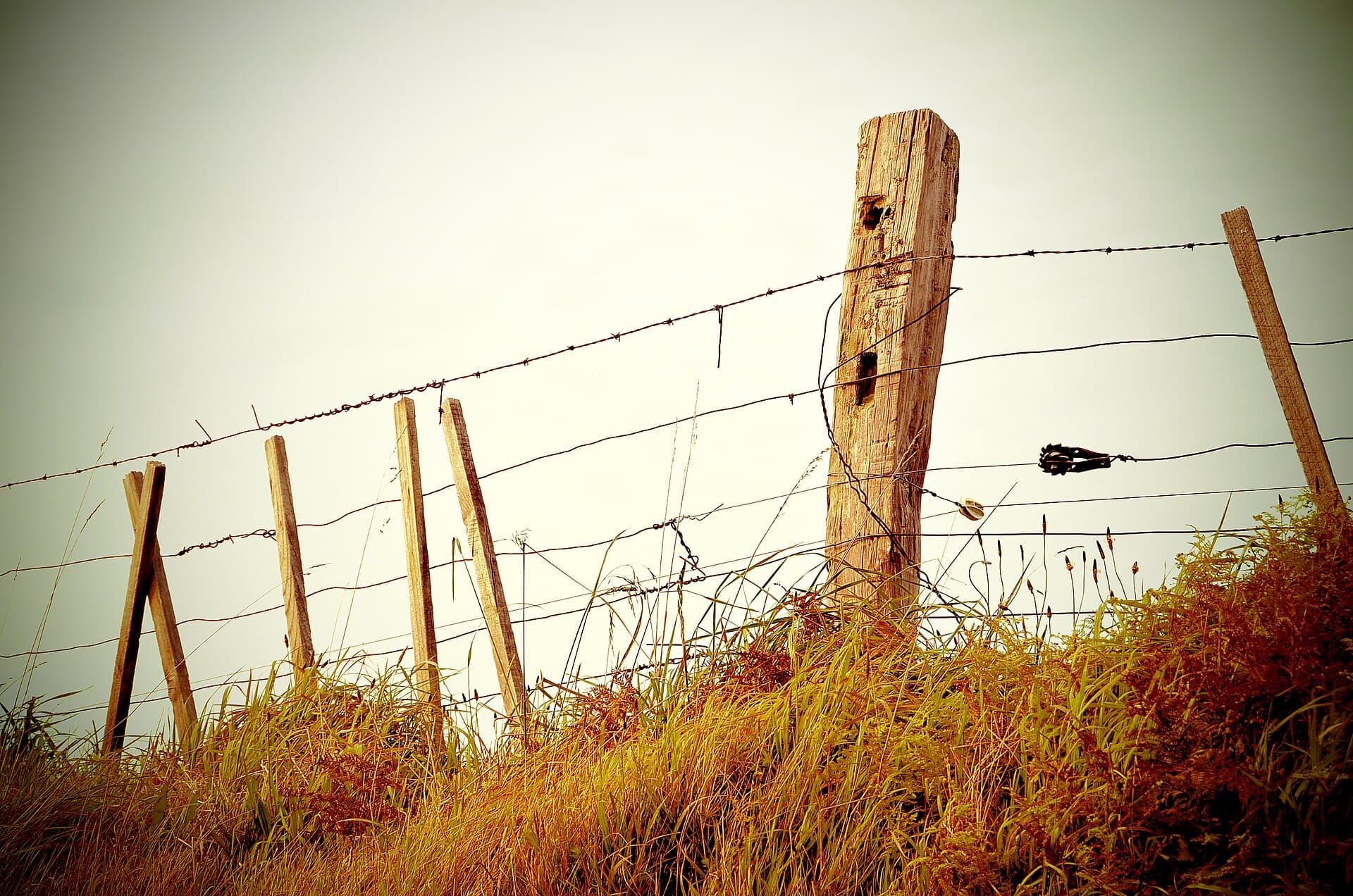 Fence line bordering a grassy property edge