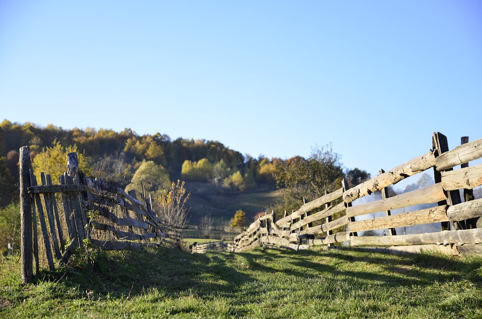 Wood split-rail fence along a countryside path